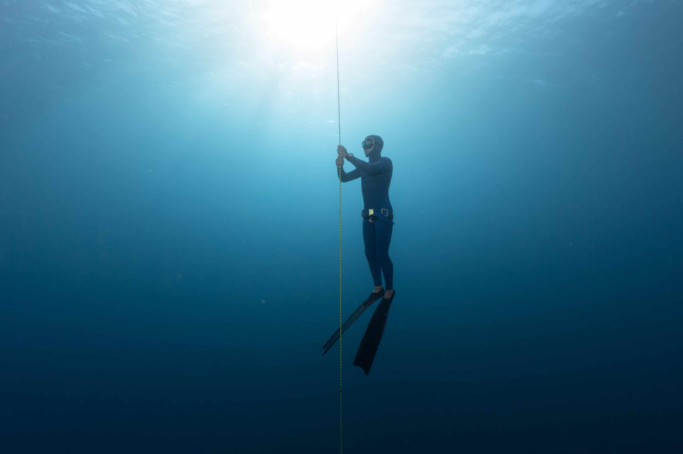 learn to freedive