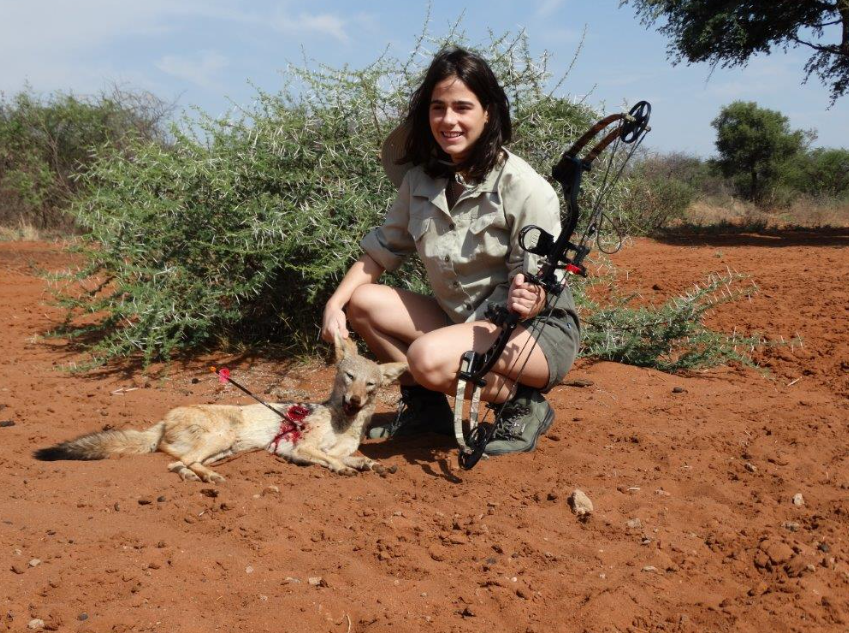 Crucial Things To Know About Africa Bow Hunting