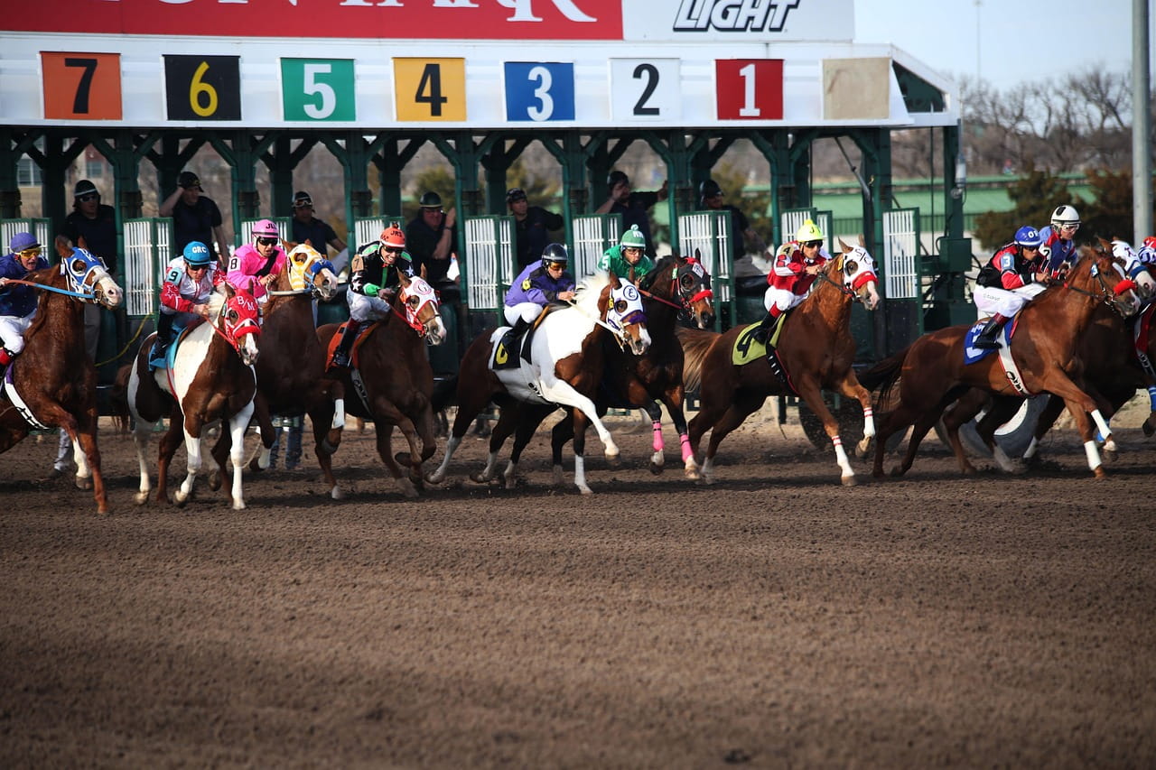Professional horse racing tips